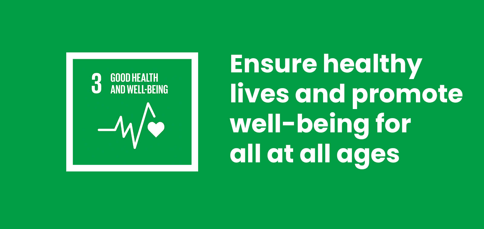 SDG 17 Goal
